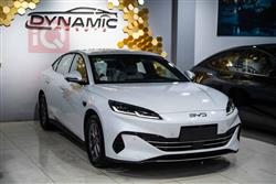 بي واي دي سيل 06 DM-i